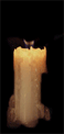 Candle-03-june