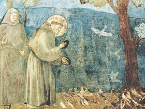 Giotto, Sv. Franjo propovijeda pticama